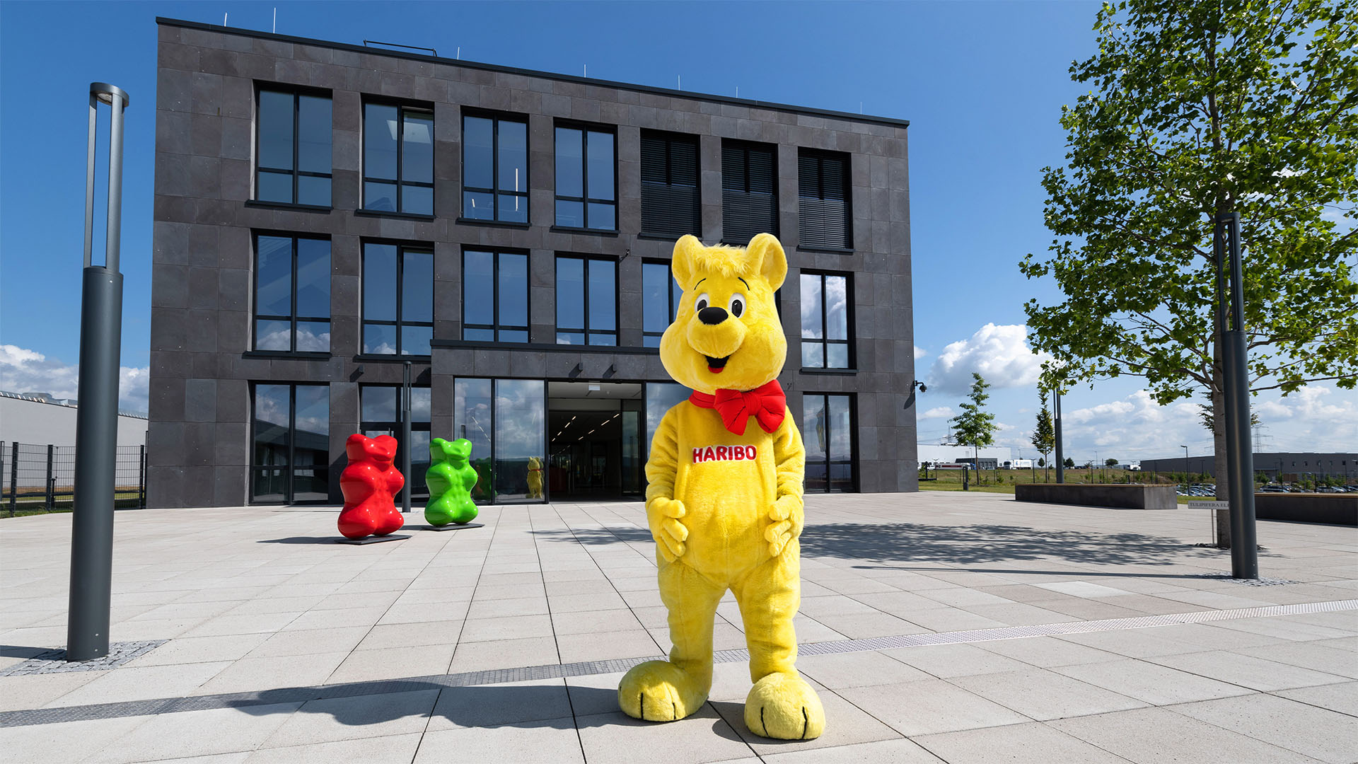Der Goldbär