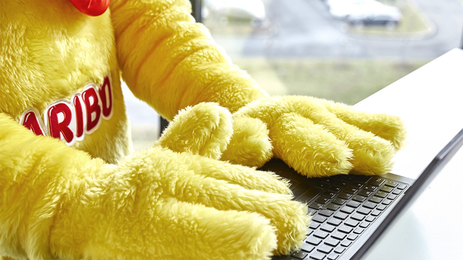Der Goldbär am Schreibtisch, Tatzen auf der Tastatur